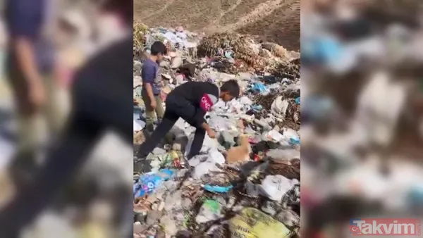 Bingöl Karlıova'da dehşet görüntü! Köpekler iple birbirine bağlanıp çöplüğe bırakıldı - 4