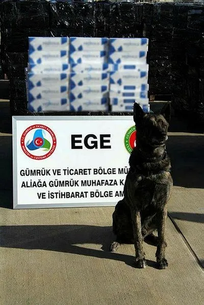 Bakanlık duyurdu! 500 bin paket ele geçirildi-4
