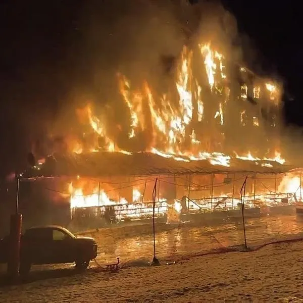 4 şüpheli tutuklandı