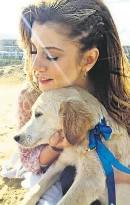 Gökçe’nin aşkı