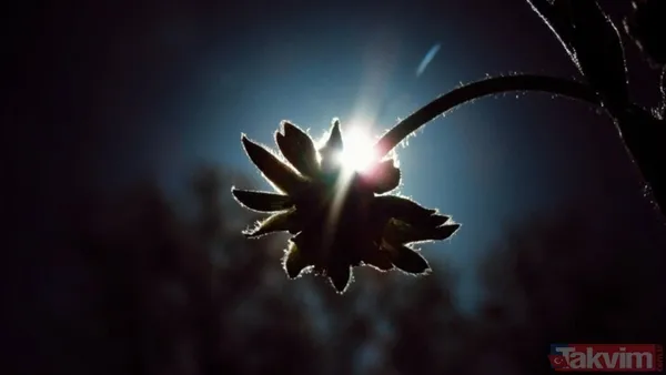 Türkiye'den İzlenebilecek Mi? 🌷2025 Çiçek Dolunayı Türkiye'den Çıplak Gözle Rahatlıkla İzlenebilecek. Açık Ve Bulutsuz Bir Hava, Bu Doğa Olayını Gözlemlemek...