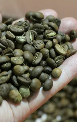 Türkiye'den tarihi bor hamlesi