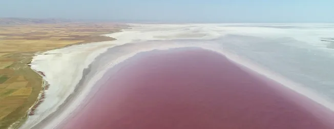 Müge Anlı�da Ecrin Bebek�in katili kim? İşte Müge Anlı�nın programında