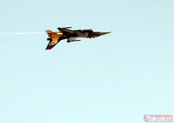 Türk Yıldızları ve SOLOTÜRK'ten nefes kesen gösteri! - 3