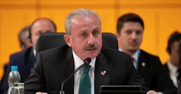 ’Türkiye işgalci’ diyen Rum Yönetimi Meclis Başkanı Dimitriu’ya TBMM Başkanı Şentop’tan sert tepki
