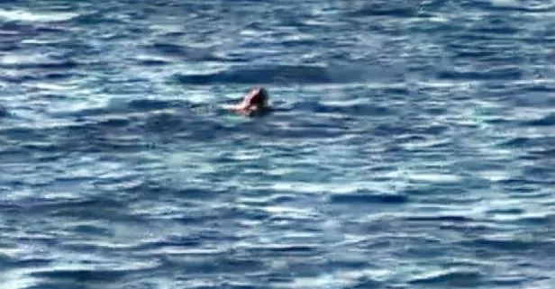 Yüzerek Yunanistan’ın İstanköy adasına geçmeye çalışan Irak uyruklu düzensiz göçmen yakalandı