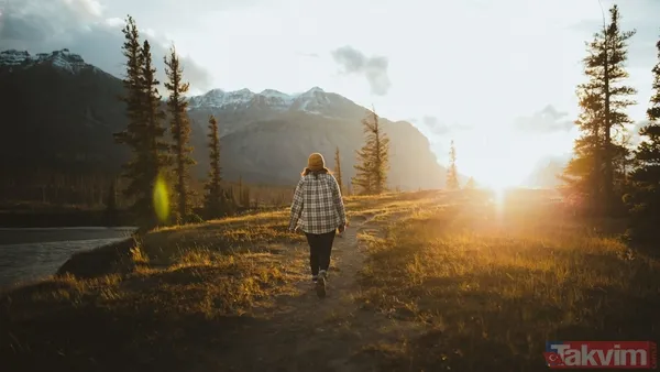 Gerçekten İşe Yarayan Şey Kesintisiz Uyku Ve Orta Düzeyde Egzersiz Bağışıklık Sistemini Desteklemede Yaşam Tarzı Alışkanlıkları Yine Kilit Rol Oynuyor. Bunların...