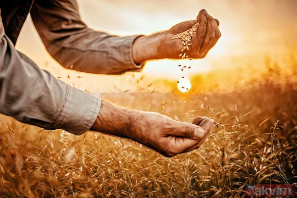 İşletme kiralayana, hayvan alacaklara, sera yapacaklara müjde! 1 milyon TL genç çiftçi kredisi! 'Köye gidip iş kurcam' diyene devletten para fışkırıyor! - 5