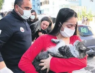 İnsanlık hareketi