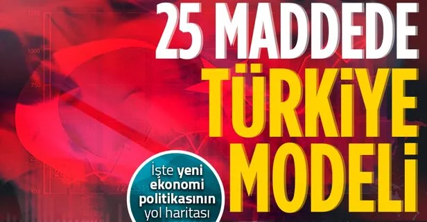 25 maddede ekonomide Türkiye Modeli! İşte yeni ekonomi politikasının yol haritası