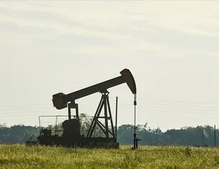 TPAO Batman’da 49 işçi alımı yapacak