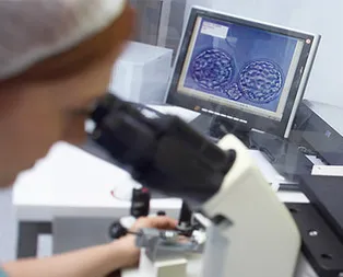 Tüp bebek aşamaları