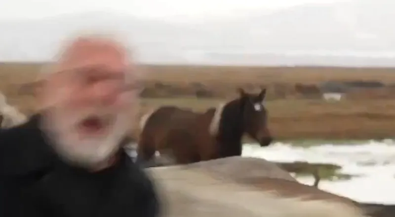 onur-akina-at-carpti-az-kalsin-nallari-dikiyordum-1766067280729.jpeg Onur Akın'a at çaptı