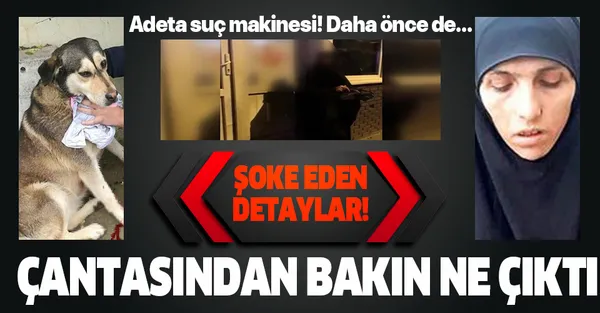 Son dakika: İstanbul Tuzla'da kedi yiyen Fatma Ç. hakkında şoke eden detaylar! Çantasından çıkanlar...-1