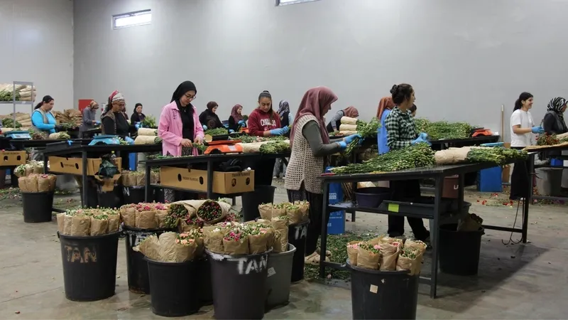anneler-gununde-turkiye-imzasi-80-milyon-cicekle-12-milyon-dolar-gelir-1778232770514.jpg Anneler Günü'nde Türkiye imzası: 80 milyon çiçekle 12 milyon dolar gelir-4
