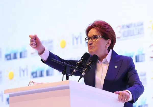 1687767159895.jpg Sen misin "istifa" diyen: İP lideri Meral Akşener'den kurultay temizliği! Hepsini kızağa çekti-5