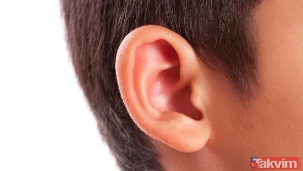 Midesine güvenenler baksın! Kulak ağrısıyla hastaneye giden adamın kulağından çıkanlar dünyayı şoke etti - 1