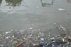 Pendik sahilinde çevre felaketi: Deniz kirli koku yoğun