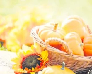 Bal kabağı kolesterol düşürür