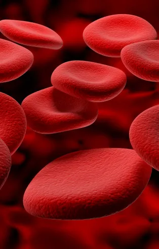 Kansızlığın doğal reçetesi