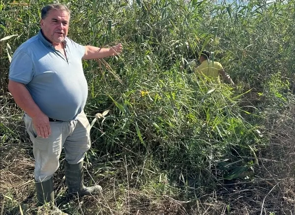 CHP’li Özlem Çerçioğlu’ndan Aydın’da lağım belediyeciliği! ASKİ tarlaları bataklığa çevirdi-6