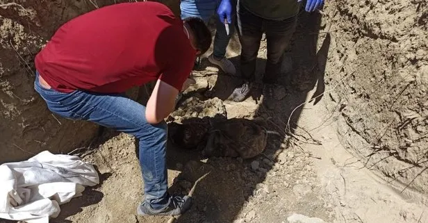 PKK içinde infazlar sürüyor: Örgütten kaçmaya çalışan teröristin cesedi toprağa gömülü halde bulundu