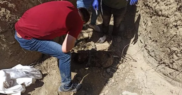 PKK’dan kaçmak istemişti! İnfaz ettiler