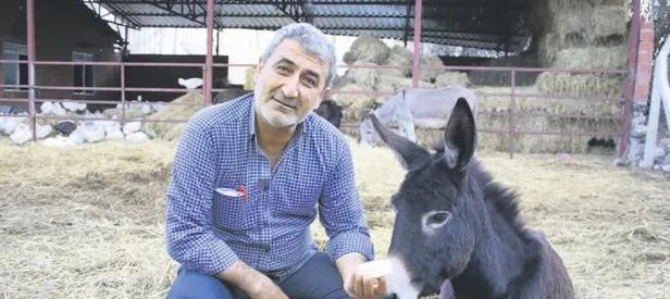 Eşek sütü mucizesi