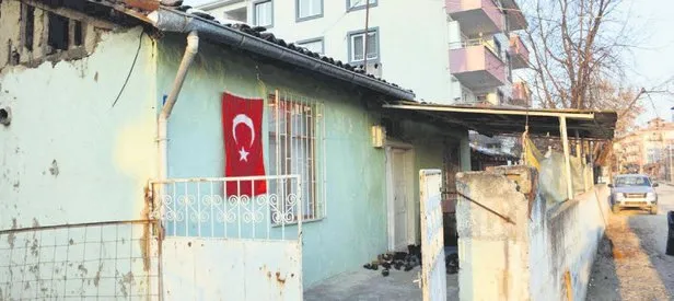 Vatan evlatları