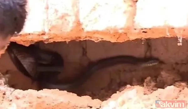 Duvarın içinden gelen seslerden ilallah etti sonunda paramparça etti! Gördükleri karşısında kalbi yerinden çıkacaktı - 7