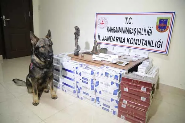Kahramanmaraş'ta jandarmadan şok uygulama! Hepsi ele geçirildi-6