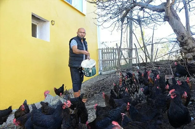 Hobi olarak başladığı tavukçulukta 3 bin hayvana ulaştı! Aylık 25 bin lira kazanıyor
