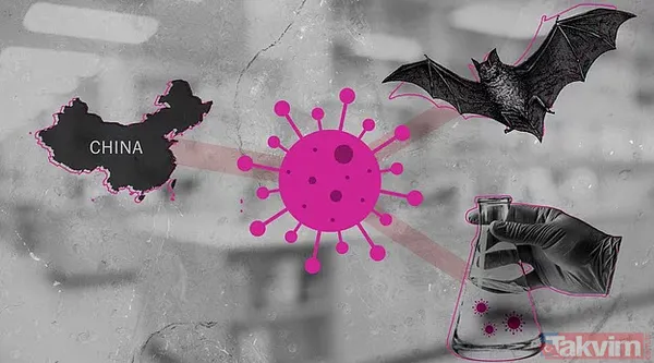Nobel Ödüllü bilim insanından dünyayı sallayan açıklama: Yeni tip koronavirüs laboratuvarda üretildi - 4