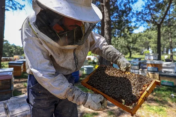 bunlari-biliyor-musunuz-istanbulun-ilk-kez-okuyacaginiz-ozellikler-tasi-topragi-komur-1632205668414.jpg Bunları biliyor musunuz? İstanbul'un ilk kez okuyacağınız özellikleri: Taşı toprağı kömür-10
