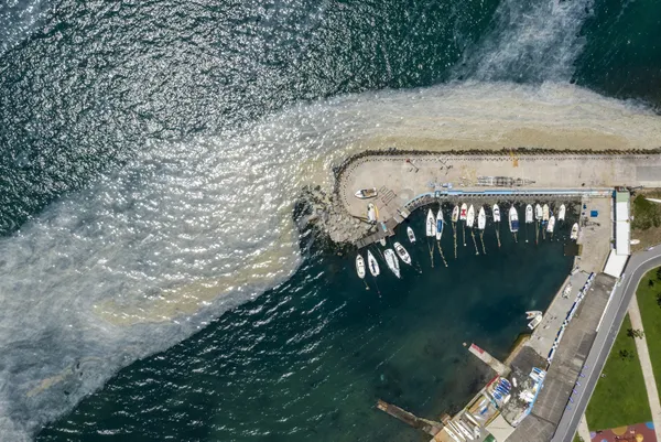 son-dakika-cevre-ve-sehircilik-bakani-murat-kurum-marmara-denizinden-7-bin-932-metrekup-musilaji-temizledik-1624867680326.jpg SON DAKİKA: Çevre ve Şehircilik Bakanı Murat Kurum: Marmara Denizi'nden 7 bin 932 metreküp müsilajı temizledik-9