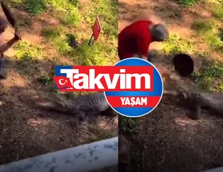 Aç timsaha yem olmaktan son anda kurtuldu! Yaşlı adam tavayla koca ağızlı timsahı böyle geri püskürttü! İşte dehşete düşüren o görüntüler