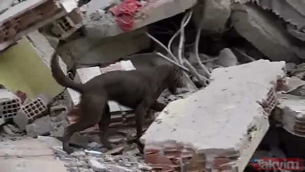 İstanbul alarm veriyor! 25 gün önce Küçükçekmece'de bugün Bahçelievler'de bina çöktü: Acil kentsel dönüşüm şart - 23