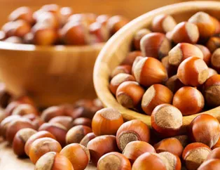 Fındık fiyatları ne kadar oldu? 18 Nisan Pazar Ordu, Giresun, Ünye, Zonguldak fındık borsalarında fındık kaç lira?