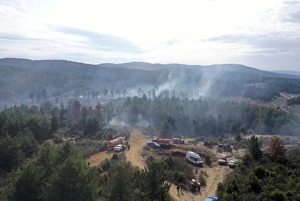 Son dakika: Kütahya Tavşanlı'da orman yangını-2