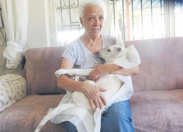 Rusya'dan gelen 2 kişi 250 bin lira değerindeki çantayı çaldı: Polisler hemen enseledi (Yaşam haberleri)-3