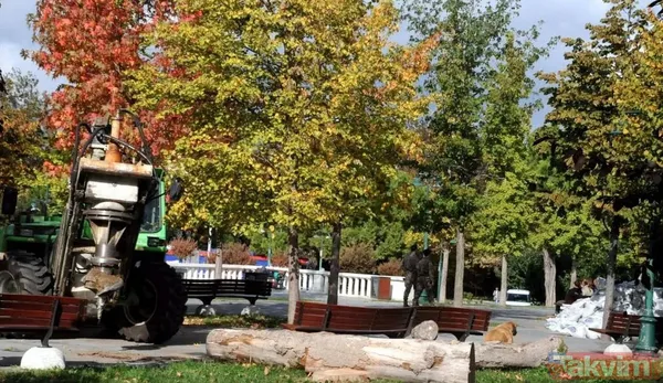 CHP'li İBB'den Gezi Parkı ve Gülhane'de doğa katliamı! Asırlık ağaçları köklerinden kestiler: Memleketi yangın yeri yapanların gerçek yüzü - 9