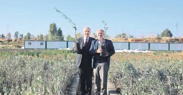 Mardin Büyükşehir Belediyesi’nde 1 milyon fidan dağıtımı başladı