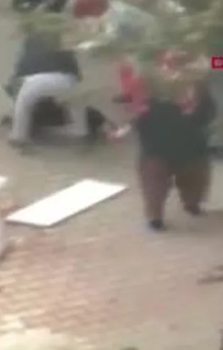 Sultangazi'de pitbull dehşeti