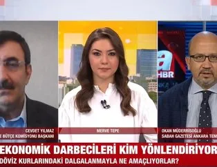 Döviz kurlarındaki dalgalanmayla ne amaçlıyorlar?