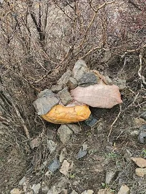 hakkaride-teror-orgutu-pkk-tarafindan-tuzaklanmis-el-yapimi-patlayicilar-imha-edildi-1585243129248.jpeg Hakkari'de terör örgütü PKK tarafından tuzaklanmış el yapımı patlayıcılar imha edildi!-2