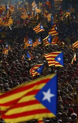 Avrupa'da ayrılıkçılık hareketleri