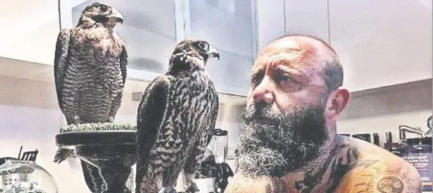 O hayvanlar koruma altında