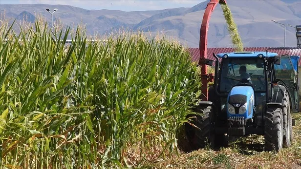 tarimda-yeni-donem-hem-ciftci-hem-de-vatandas-kazanacak-1694750047364.jpeg Tarımda yeni dönem! Hem çiftçi hem de vatandaş kazanacak-4