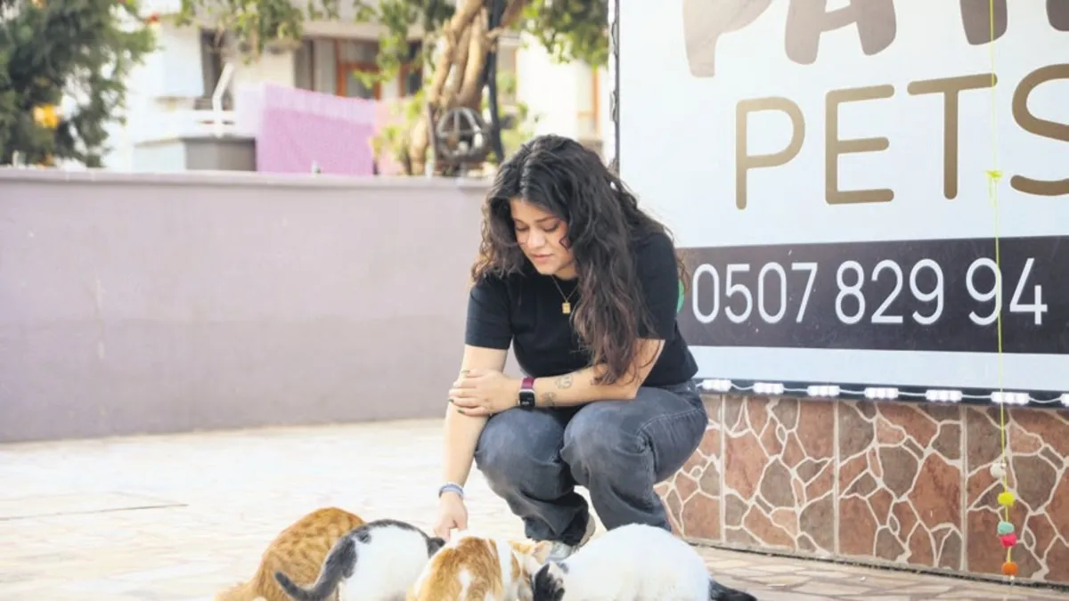 Antalya’da sokak kedisi vahşeti!