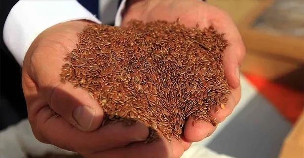 Keten tohumu astım tedavisinde etkili